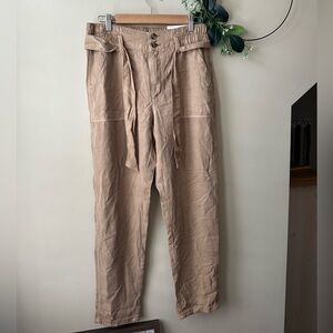 American Eagle Outfitters Brown Chinos